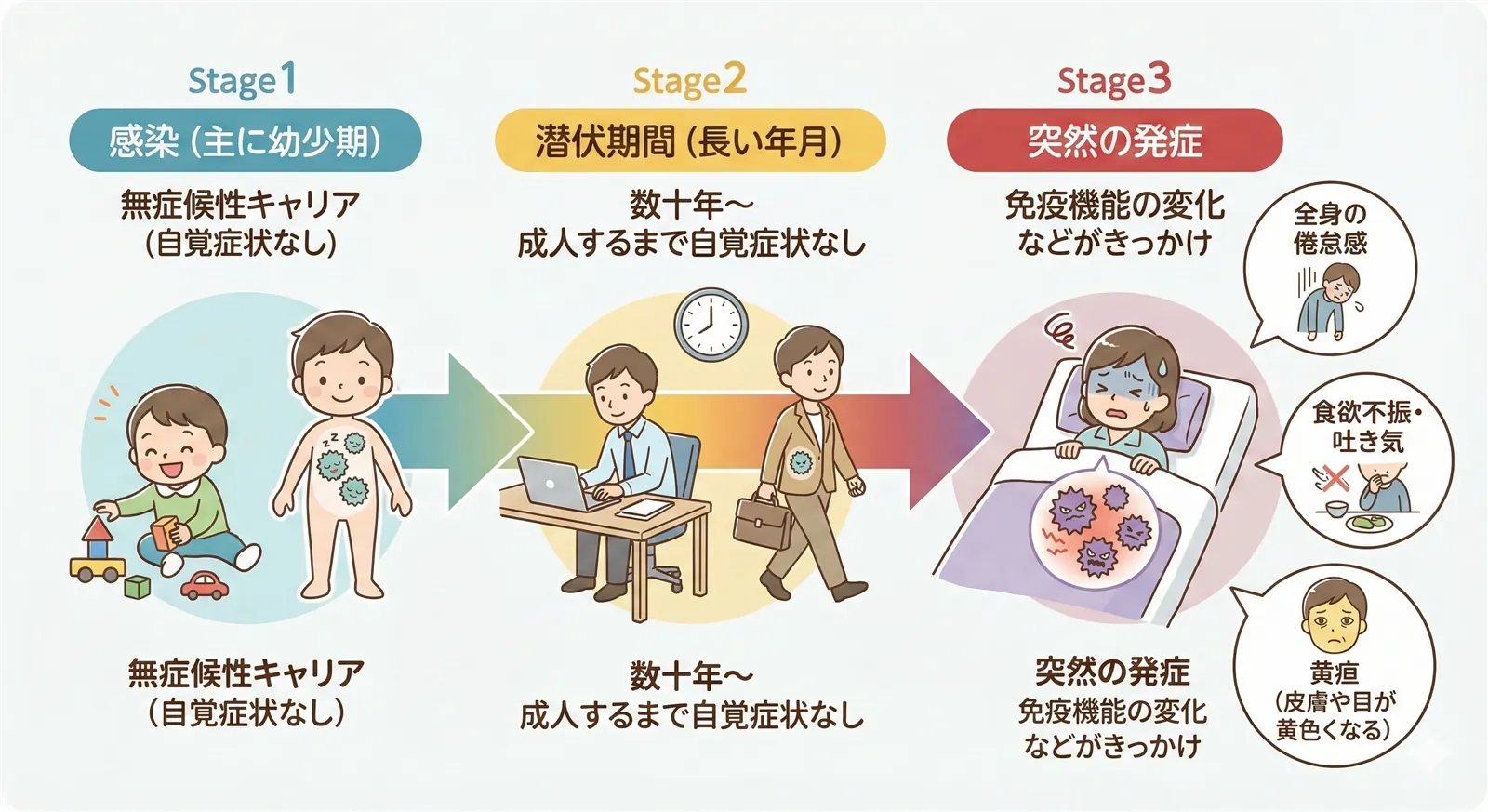 B型肝炎の感染から潜伏期間を経て突然発症するまでのタイムラインと主な症状の図解イラスト